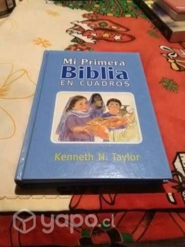 Mi primera Biblia en cuadros