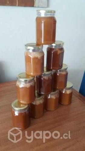 Miel Pura y Rica Multifloral del Maule