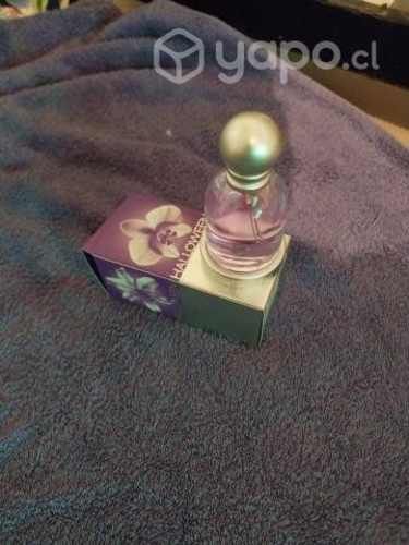 Perfume halloween nuevo original