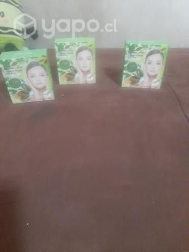 Polvos compactos de te verde