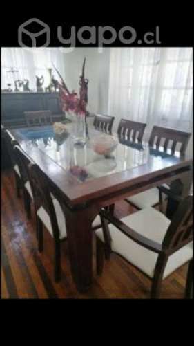 Comedor rauli