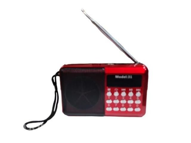 Radio Portatil Recargable Mod. Lfjts-31 Fm Digital