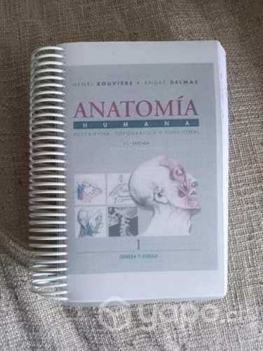 Libro Rouviere Cabeza y Cuello