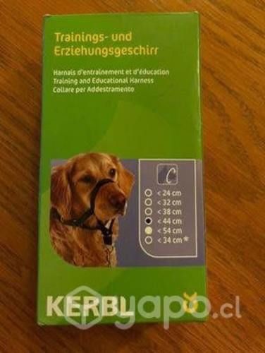 Arnés para adiestramiento perro