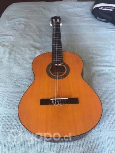 Guitarra acústica Ibanez + funda