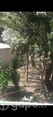 Sitio con casa antigua