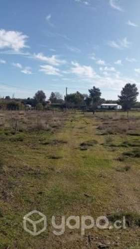 Parcela de 10.000mt2. con casa