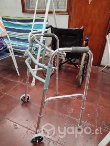 silla de ruedas y burrito