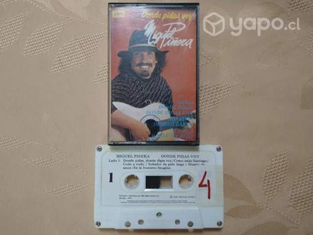 Mt288: tape miguel piñera donde pidas voy