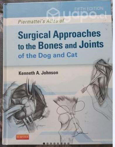 Cirugía Médico Veterinaria