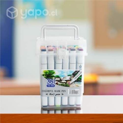 Rotuladores marcadores plumones doble punta 36 co