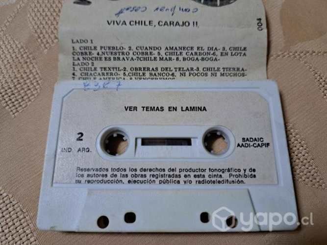 Mt308: tape viva chile, carajo