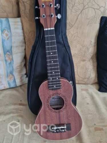 Ukeleles nuevos