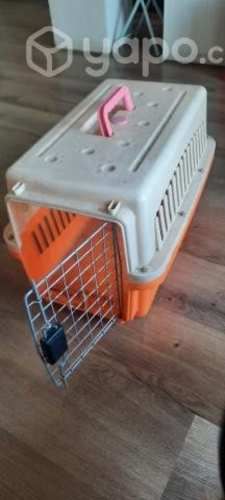 Canil de Transporte de perro