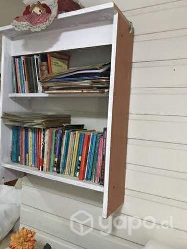Libros con estante