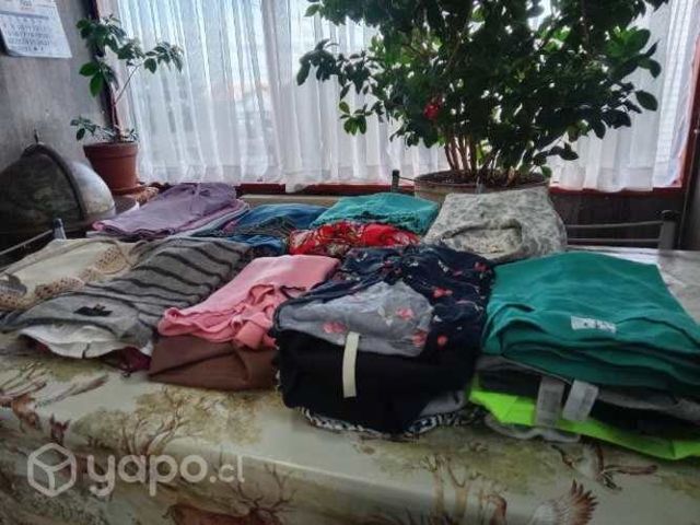 Lote de blusas