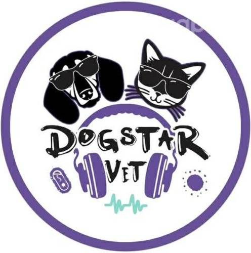 Medicina preventiva veterinaria a domicilio