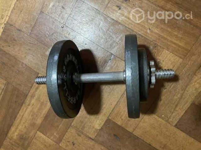 Mancuerna con 4 discos