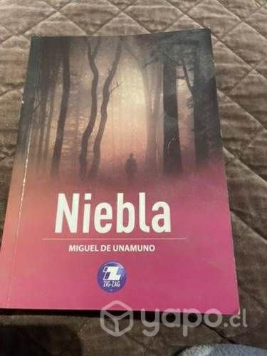 Libro niebla