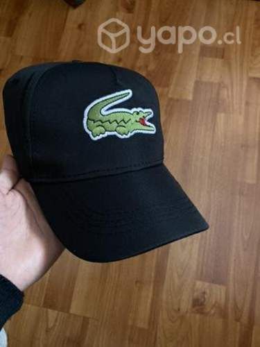 Gorros Lacoste
