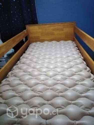 Cama clínica 5 posiciones elestrica