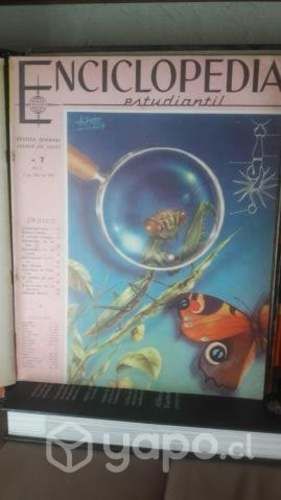 Enciclopedia Estudiantil Codex Empastado