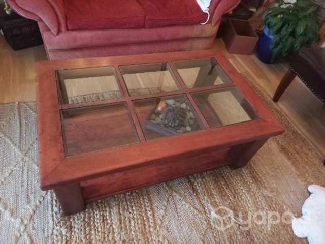 Mesa de centro madera nativa