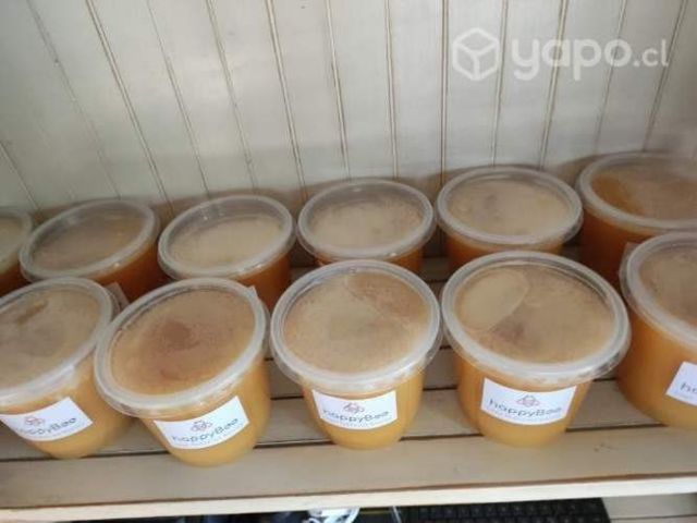 Miel de ulmo traída de lago todos los santos