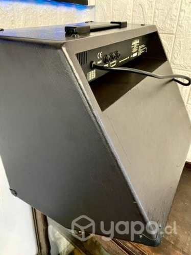 Washburn WA-30 Amplificador guitarra E. Acústica