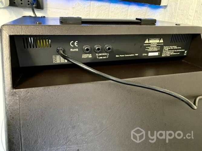 Washburn WA-30 Amplificador guitarra E. Acústica