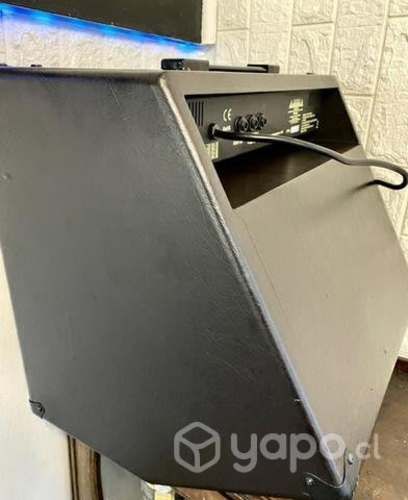 Washburn WA-30 Amplificador guitarra E. Acústica