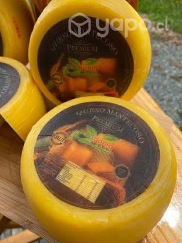 Queso Chanco Mantecoso Venta al Por Mayor