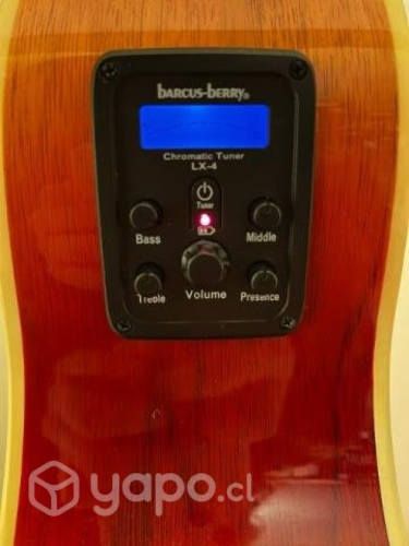 Guitarra Electroacústica Washburn Ea15 IT