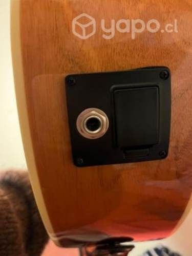 Guitarra Electroacústica Washburn Ea15 IT