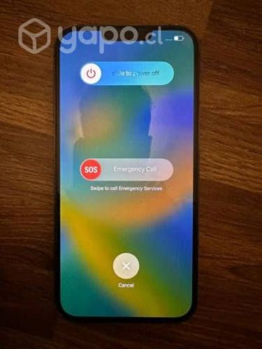 iPhone 13 Pro Max - Color Grafito