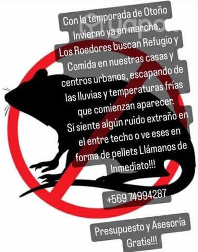 Desratizacion y control Plagas de Ratones y Ratas