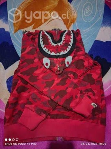 Bape shark