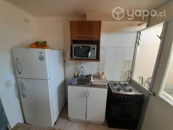 Excelente Departamento amoblado