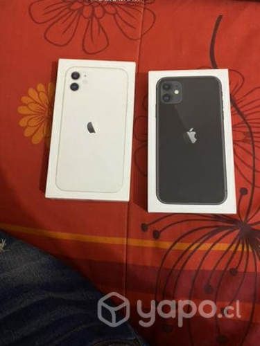 IPhone 11 (cajas)