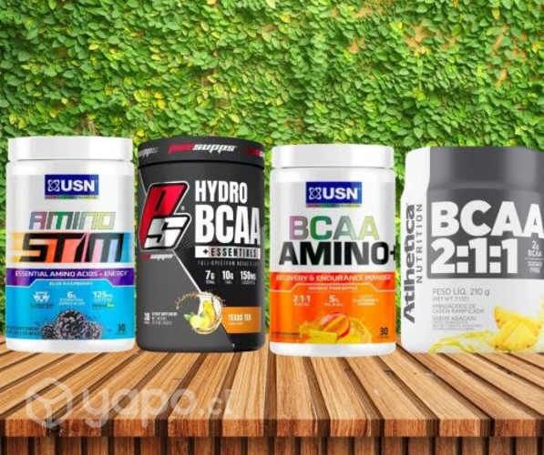 Aminoácidos (Especiales para ganancia muscular)