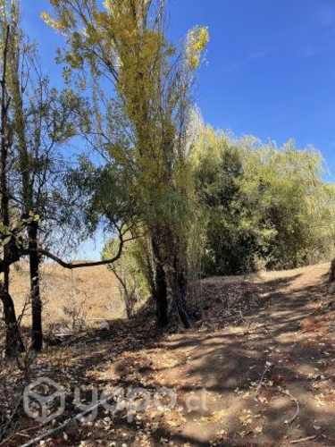 parcela en yumbel, sector Las Nieves