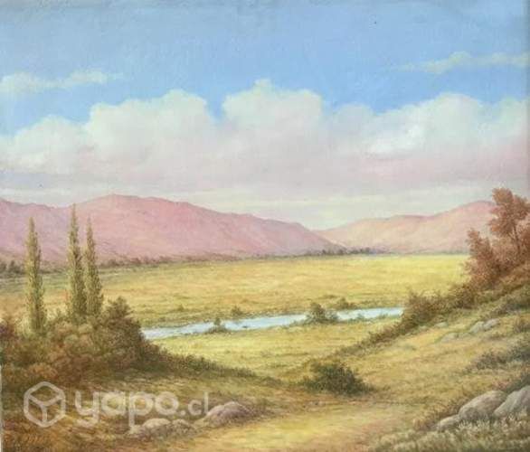 Cuadros Originales , Artista , Luis Valenzuela