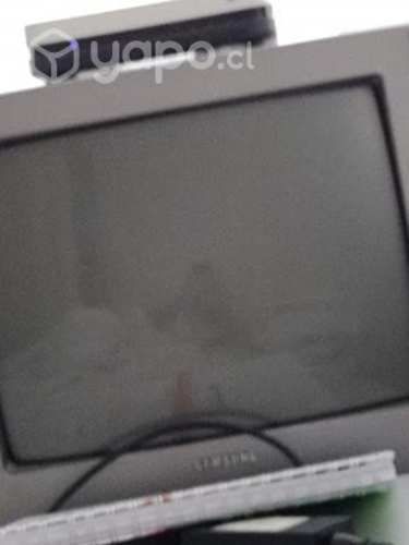 Televisor