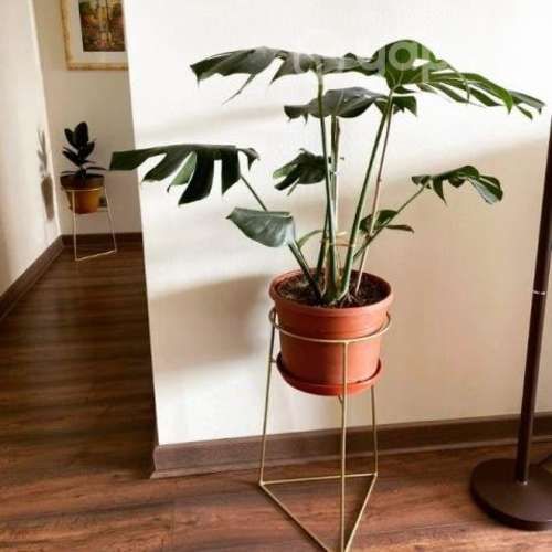 Porta maceteros de pedestal