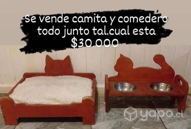 Cama de gato y comedero