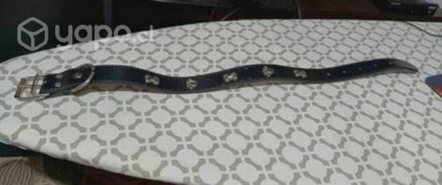 Collar de perro