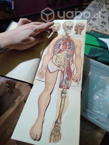 Libro el consejero médico del hogar