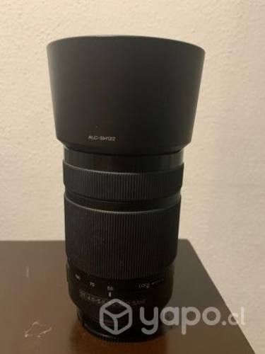 Lente Sony DT55-300mm