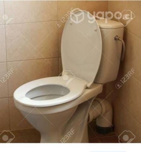 Taza de baño de las antiguas con su estanque