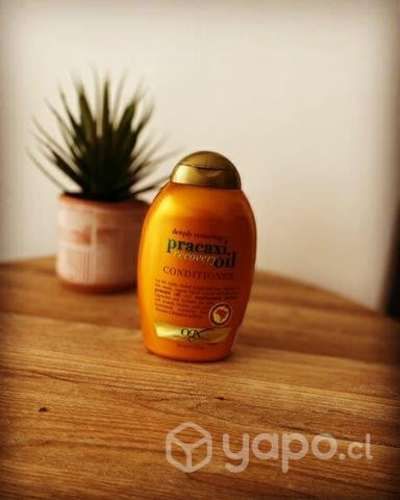 ogx shampoo pracaxi oil